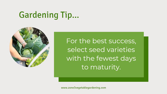 How to Grow a Successful Garden